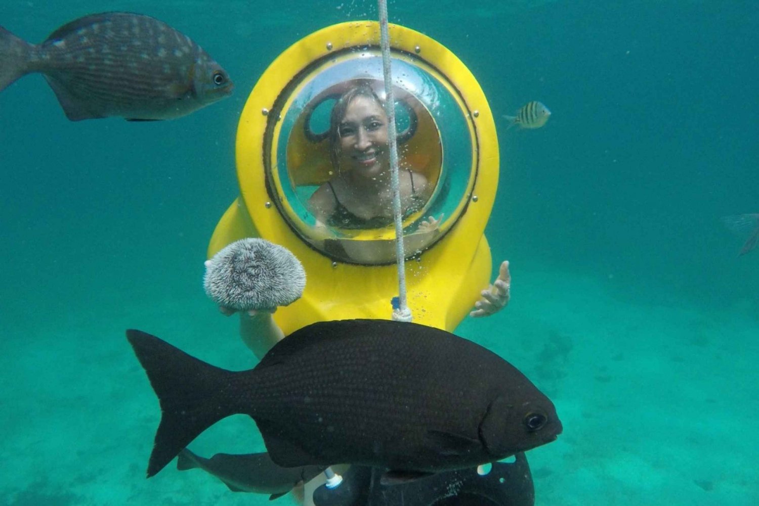 Scuba Doo Underwater Scooter in Punta Cana (half day)