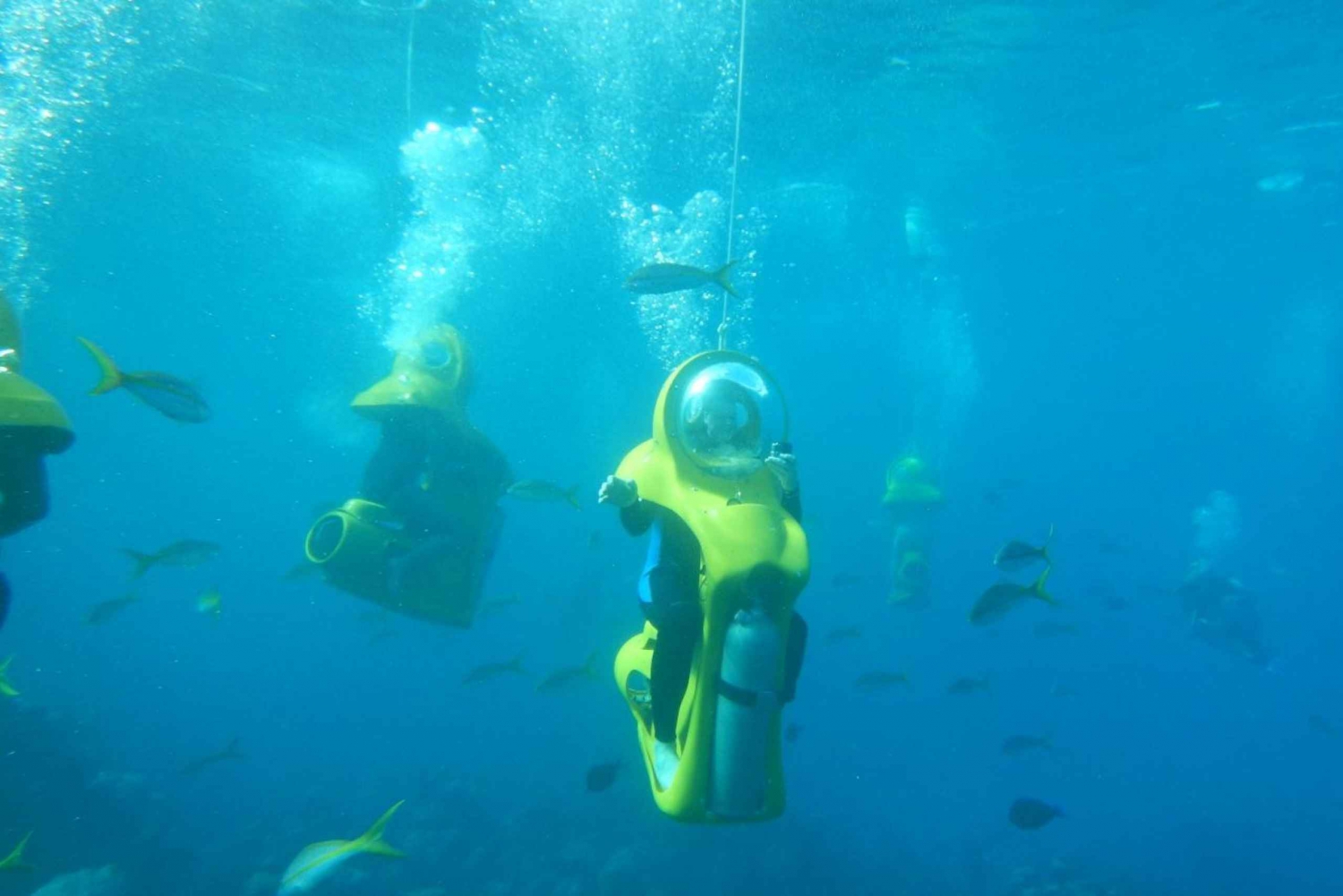 Scubadoo Punta Cana Diving Adventure