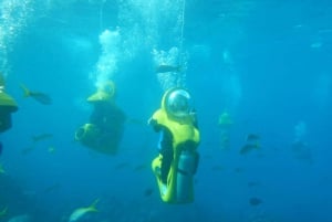 Scubadoo Punta Cana Duikavontuur