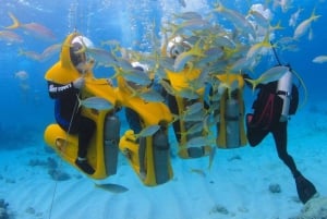 Scubadoo Punta Cana Duikavontuur