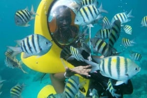 Scubadoo Punta Cana Duikavontuur