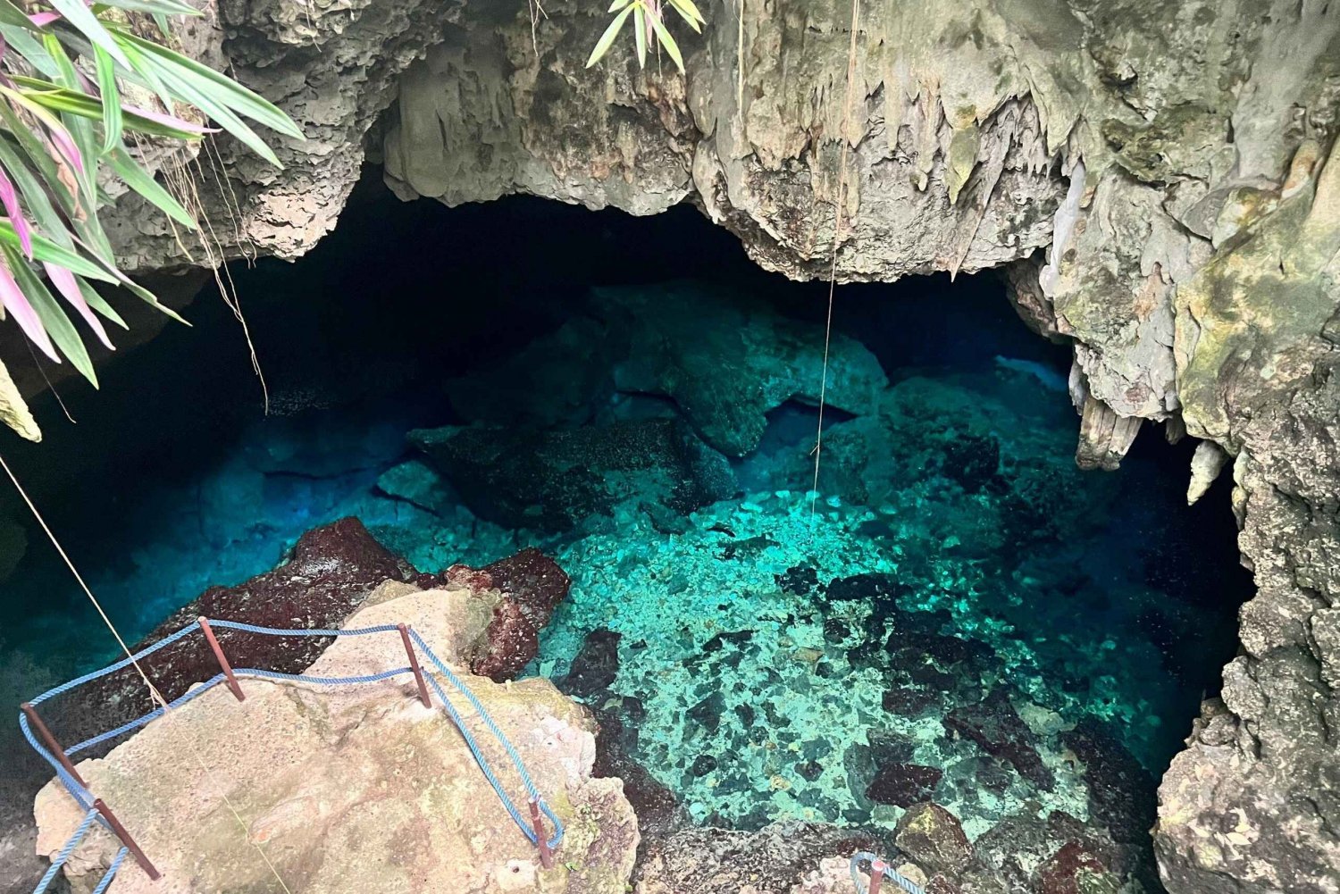 Excursie aan wal: Choco Nationaal Park en Cabarete Grotten Tour