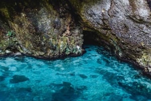 Udflugt på land: Choco National Park og Cabarete Caves Tour