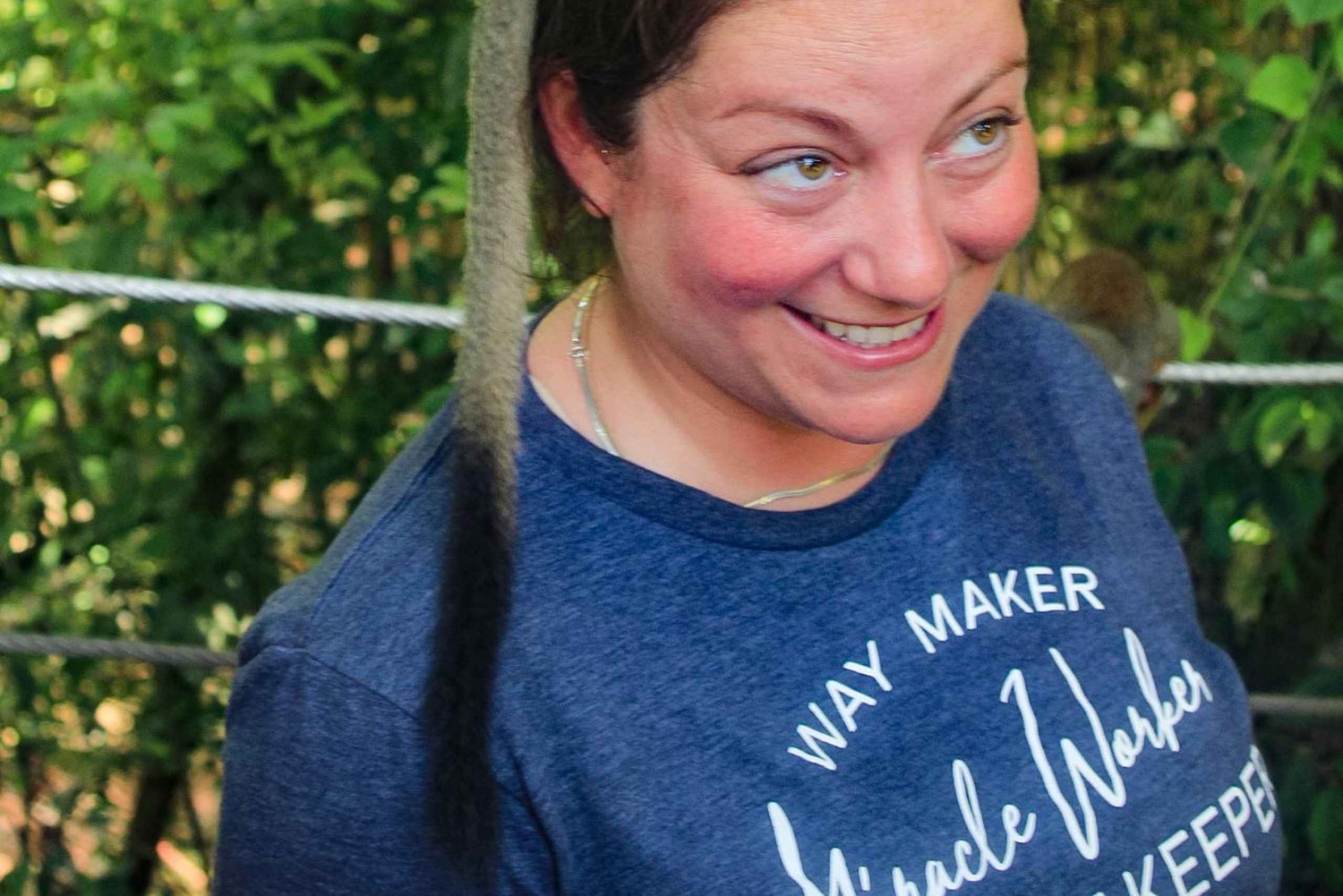 Shore Excursion Damajagua Waterfalls and Monkey Encounters