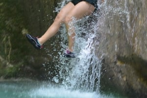 Shore Excursion Damajagua Waterfalls and Monkey Encounters