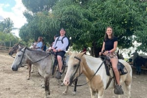 Small Group: Half Day Dominican Republic Cultural Tour