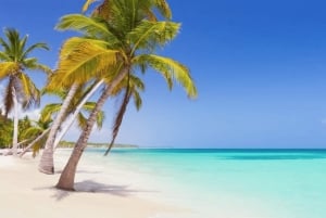 Small Group: Saona Island Full Day Tour Catamaran Open Bar