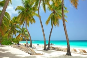 Small Group: Saona Island Full Day Tour Catamaran Open Bar