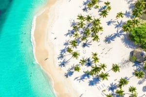 Small Group: Saona Island Full Day Tour Catamaran Open Bar