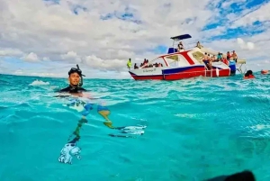 Snorkeling Party Boat