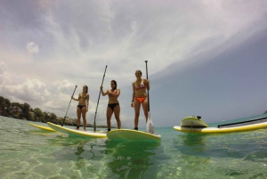 Sosua 2-Hour Stand Up Paddle Boarding