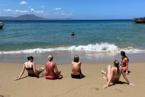 Sosua båd- og snorkeltur + strandbesøg