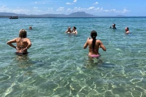 Sosua båd- og snorkeltur + strandbesøg