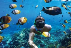 Sosúa: Katamaransejlads med snorkling, frokost og drinks