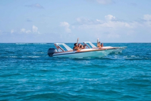 Speed Boat y Snorkel en Punta Cana