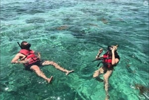 Aventura em lancha rápida e mergulho com snorkel em Punta Cana
