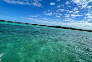 Speedboat Adventure: Exhilarating Experience in Punta Cana