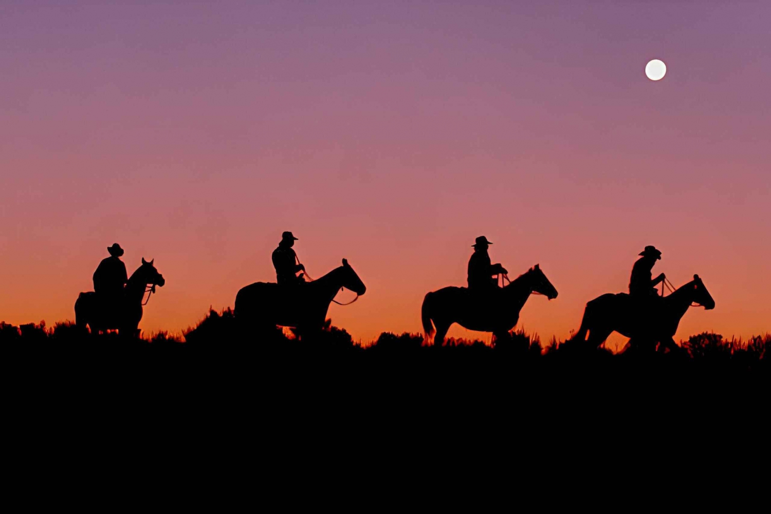 Sunset Horseback Riding Tour at Macao Beach with Transfers