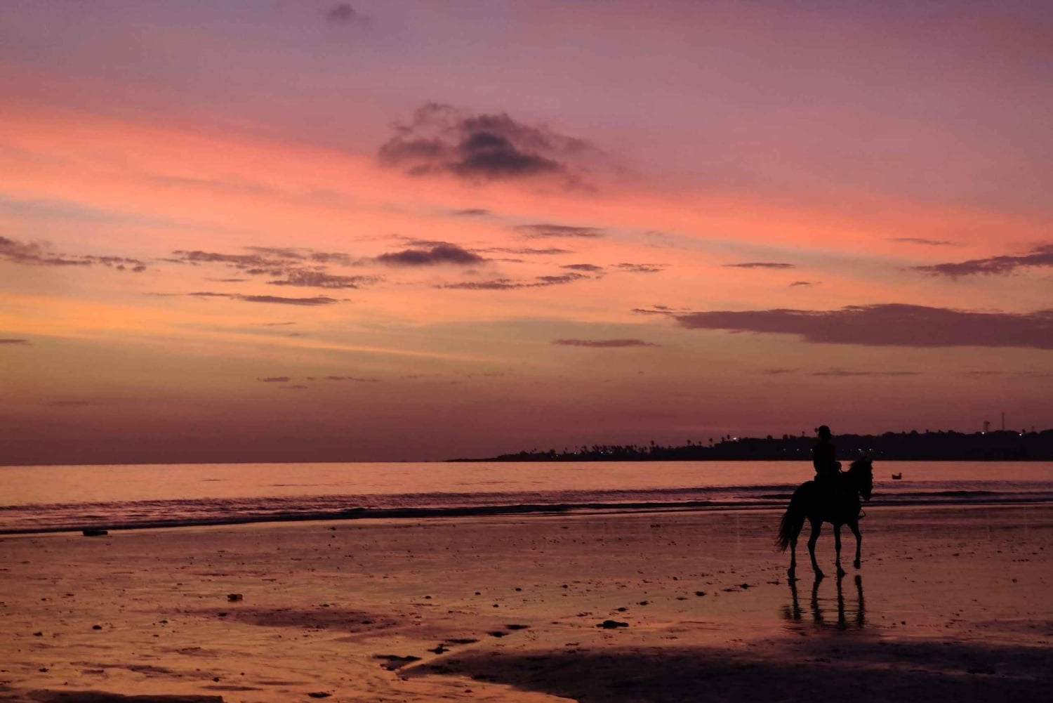 Sunset on Horseback at El Limón Beach