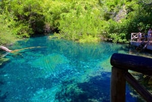 Плавающая лошадь из Пунта-Каны