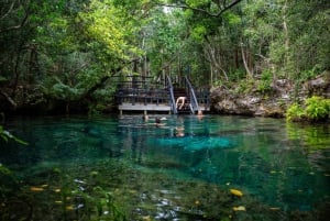 Ui Cenotes Ojos Indígenas -uimalaitoksessa