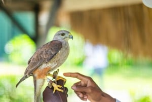 セノーテ オホス インディヘナスで泳ぐ