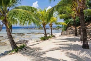 Puerto Plata: Taino Bay Beach Club with Transfer and Buffet