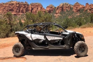 Terracross Buggy and ATV Tour with Macao Beach