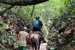 La cascada del limón: Tutustu Salto del Limóniin ja sen jokiin ja vuoriin