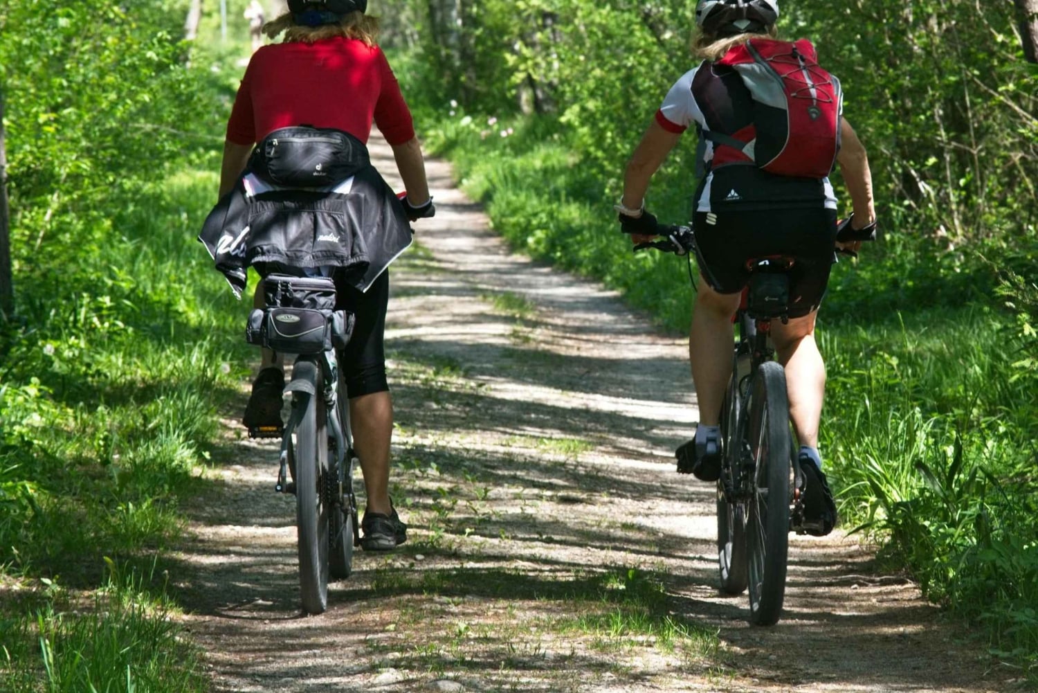 Tour: Bike and Kayak Adventure in Los Haitises National Park
