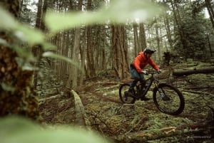 Tour: Bike and Kayak Adventure in Los Haitises National Park