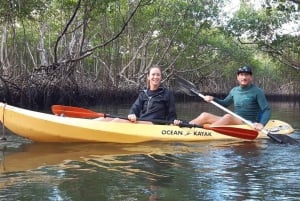 Tour: Bike and Kayak Adventure in Los Haitises National Park
