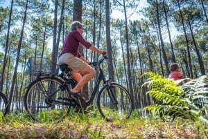Tour: Bike and Kayak Adventure in Los Haitises National Park