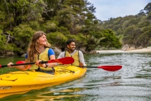 Tour: Bike and Kayak Adventure in Los Haitises National Park