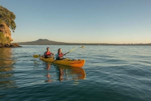 Tour: Bike and Kayak Adventure in Los Haitises National Park