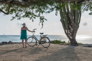 Tour: Bike and Kayak Adventure in Los Haitises National Park