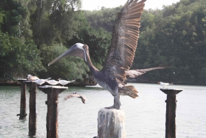 Tour Los Haitises, Montaña Redonda y Cascada Yanigua