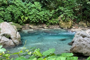 Tour por el Sendero Acuático “La Plaza” ¡TODO INCLUIDO!
