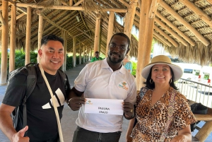 Trasferimenti dall'aeroporto di Santo Domingo a/da Punta Cana