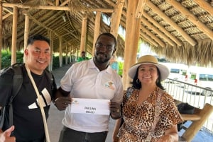 Trasferimenti dall'aeroporto di Santo Domingo a/da Punta Cana