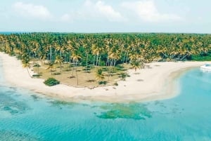 Tropical Quads in Punta Cana