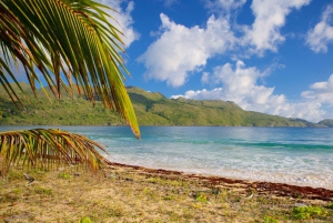 Samaná Avontuur: Rincón Strand & Cayo Levantado Ervaring