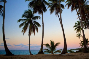 Aventure Samaná : Plage de Rincón et Cayo Levantado