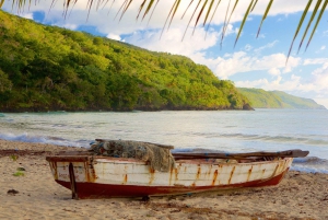 Samaná Adventure: Plaża Rincón i doświadczenie Cayo Levantado