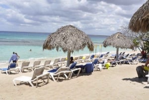 Inolvidable aventura de snorkel en la Isla Catalina