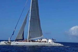 Inesquecível aventura de mergulho com snorkel na Ilha Catalina