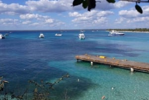 Oförglömligt snorklingsäventyr på Catalina Island