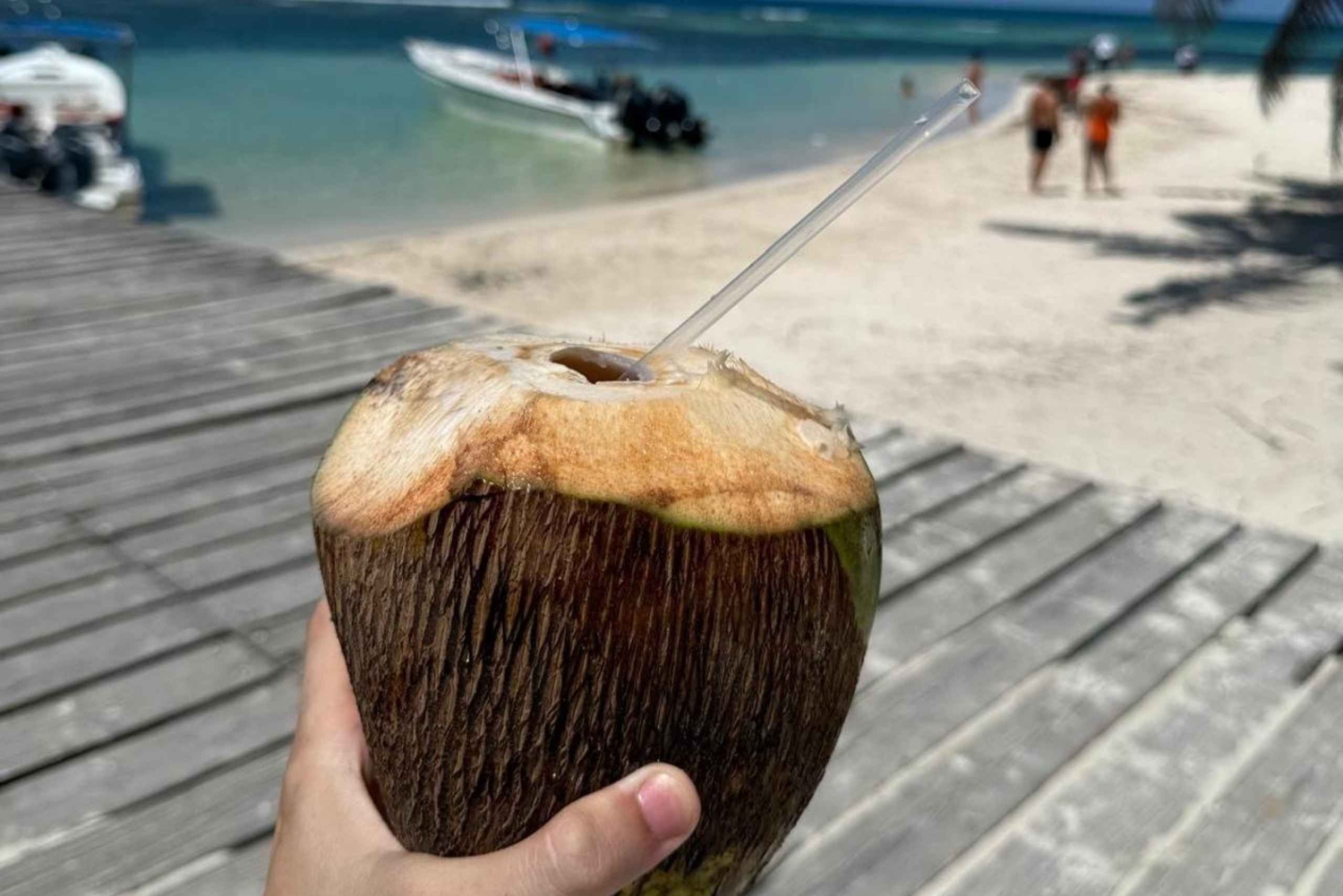 VIP Saona Island Tour: Drink and Food Included