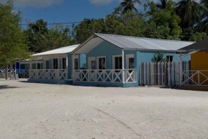 VIP Saona Island Tour: Drink and Food Included