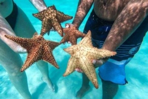 VIP Saona Island Tour: Drink and Food Included